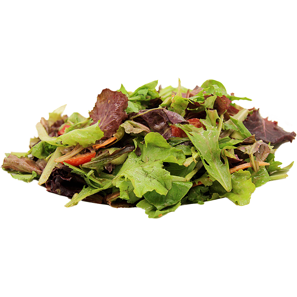 Mixed Garden Salad.