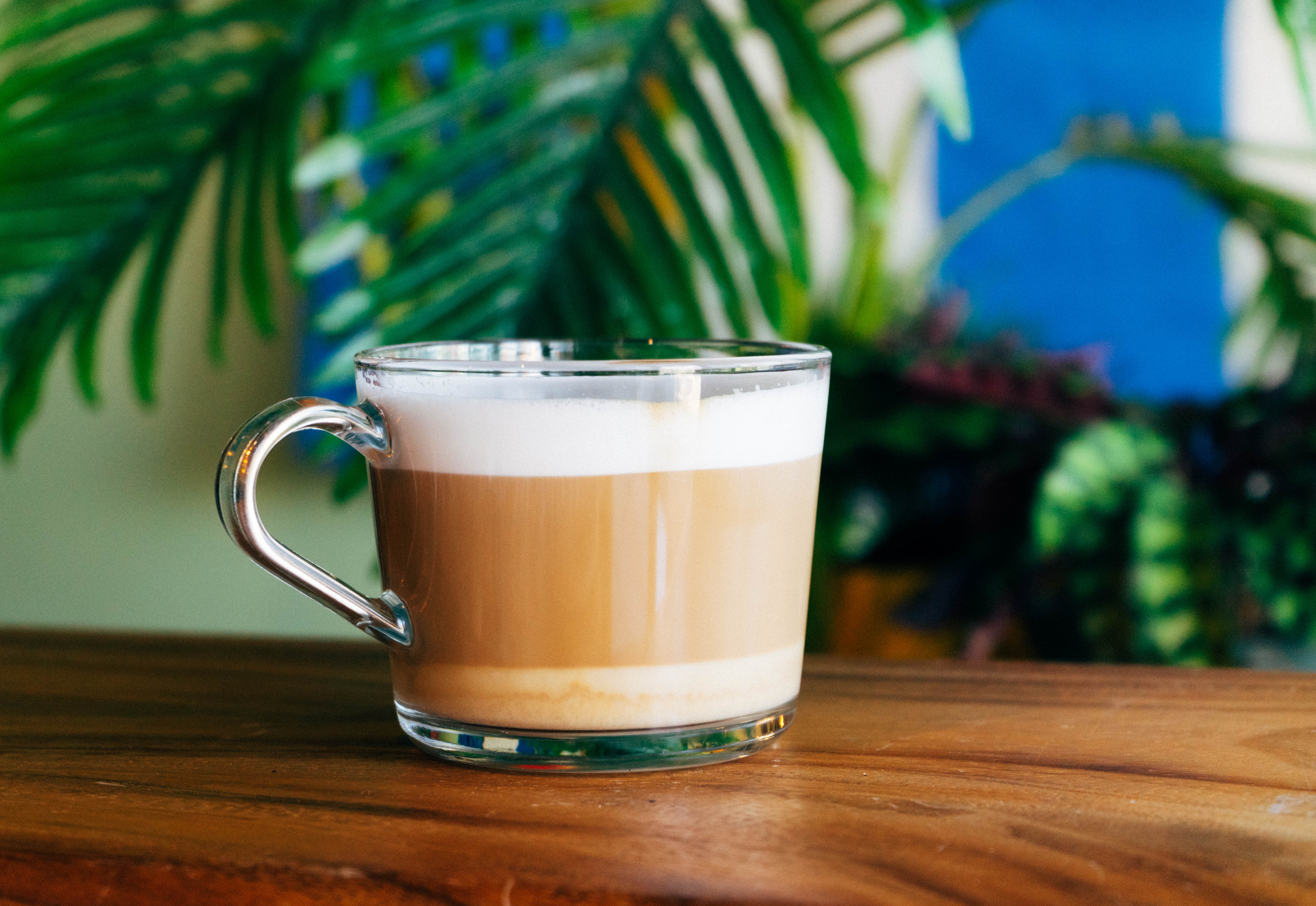 Horchata Flat White.