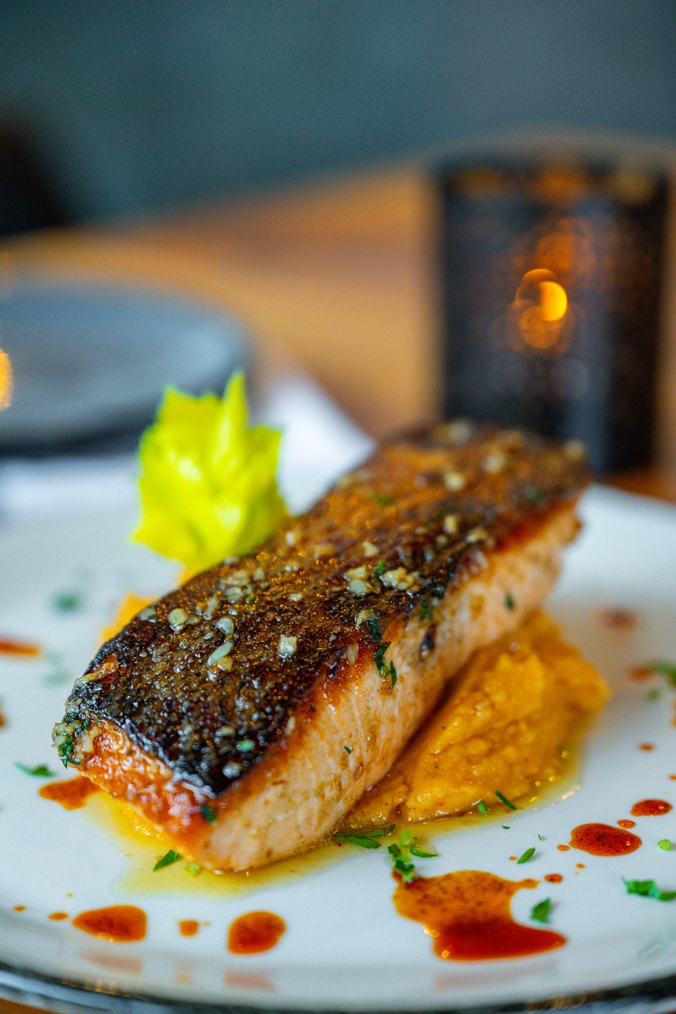Salmon.
