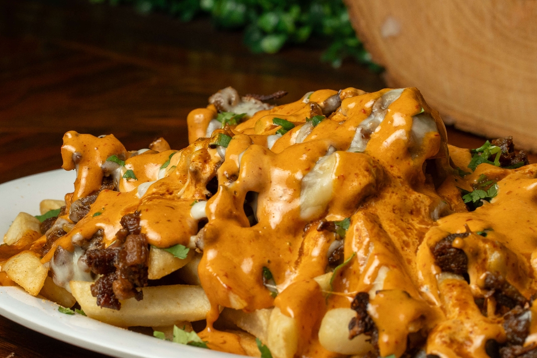 Asada Fries.