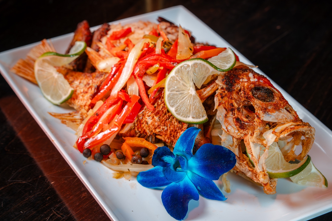 Snapper.