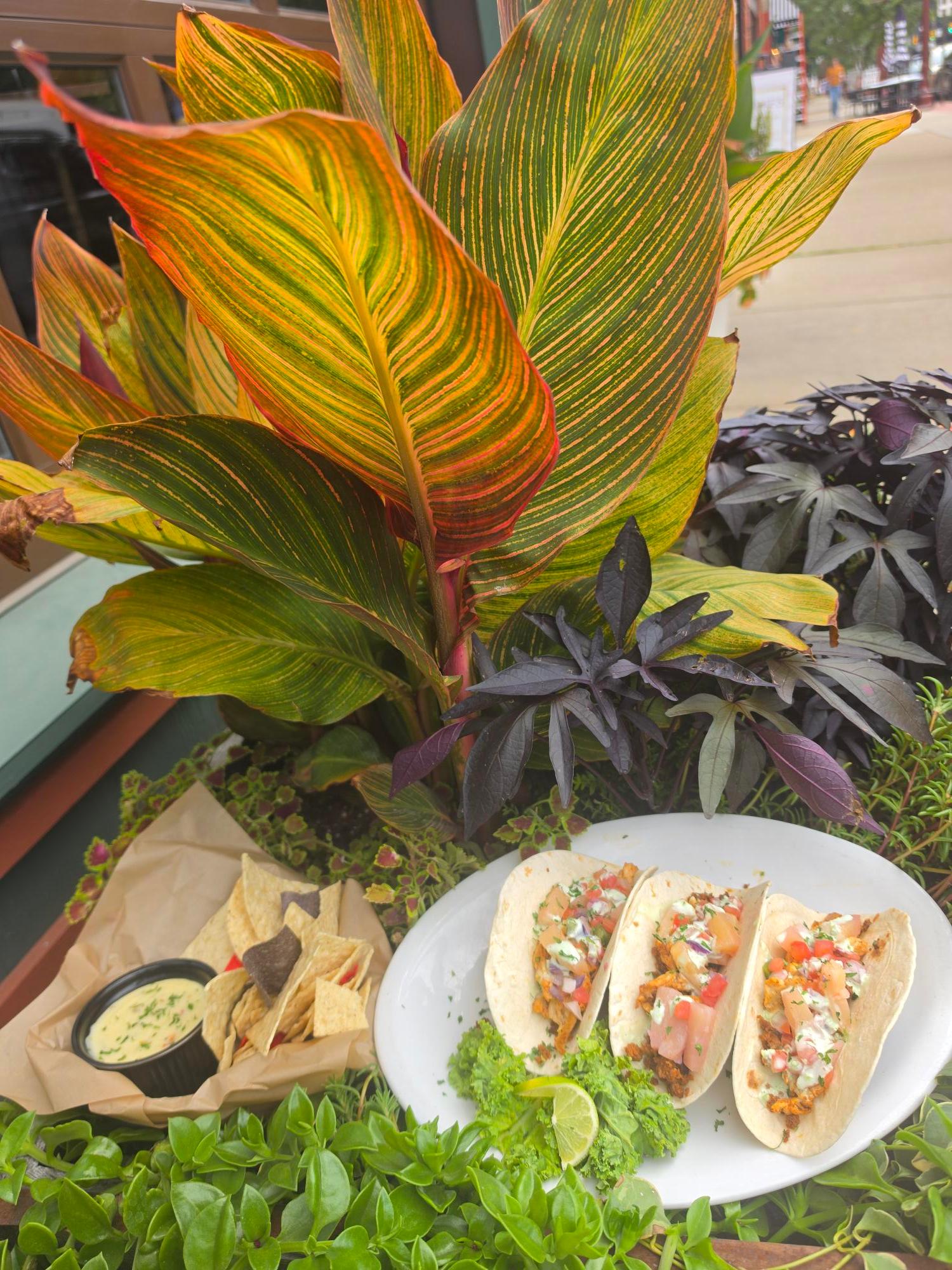 Trailblazer Chori-Pollo Tacos Trio.
