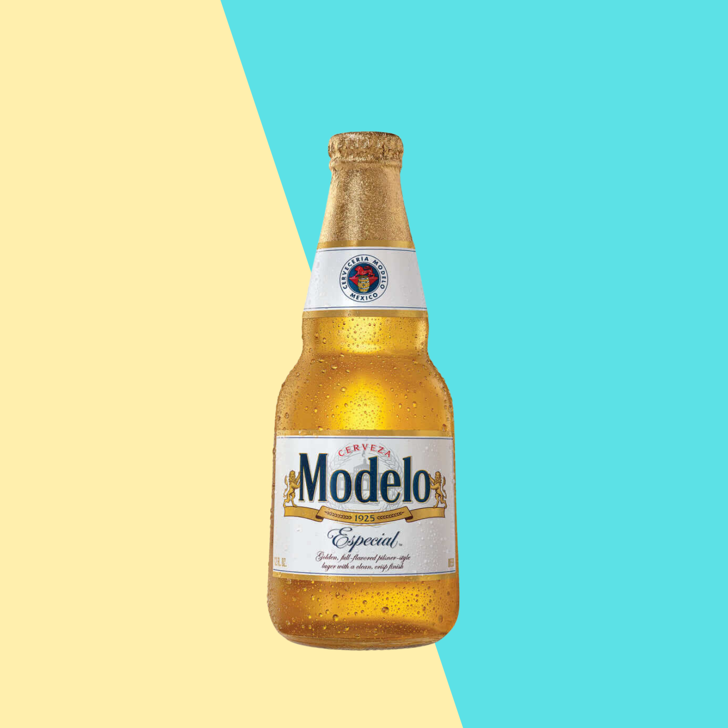 Modelo.