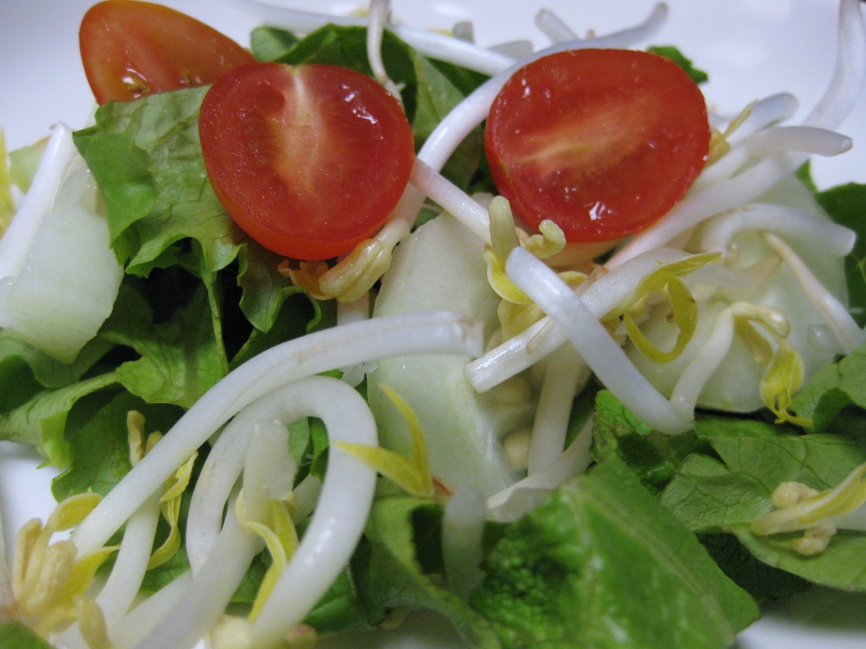 RAW SALAD.