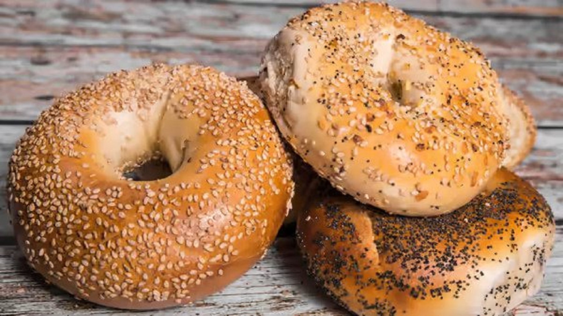 ~~ HALF Dozen Bagels ~~.