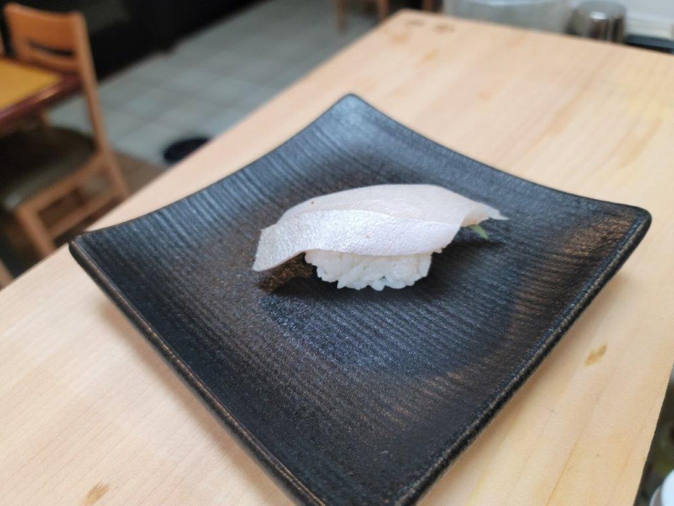 NI21-YELLOWTAIL.