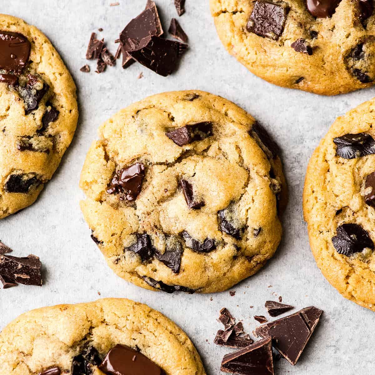Chocolate Chip Cookie.