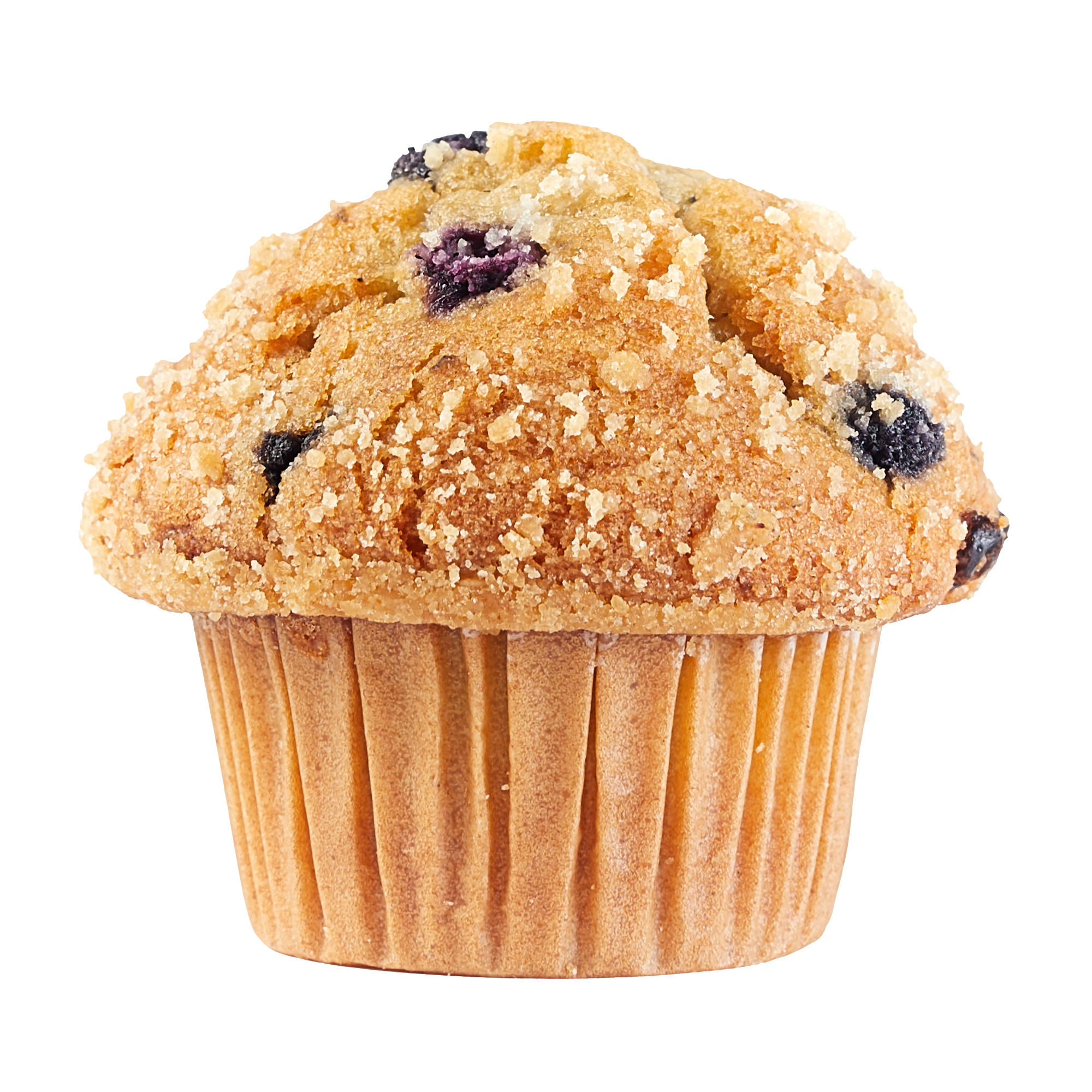 Blueberry Muffin.