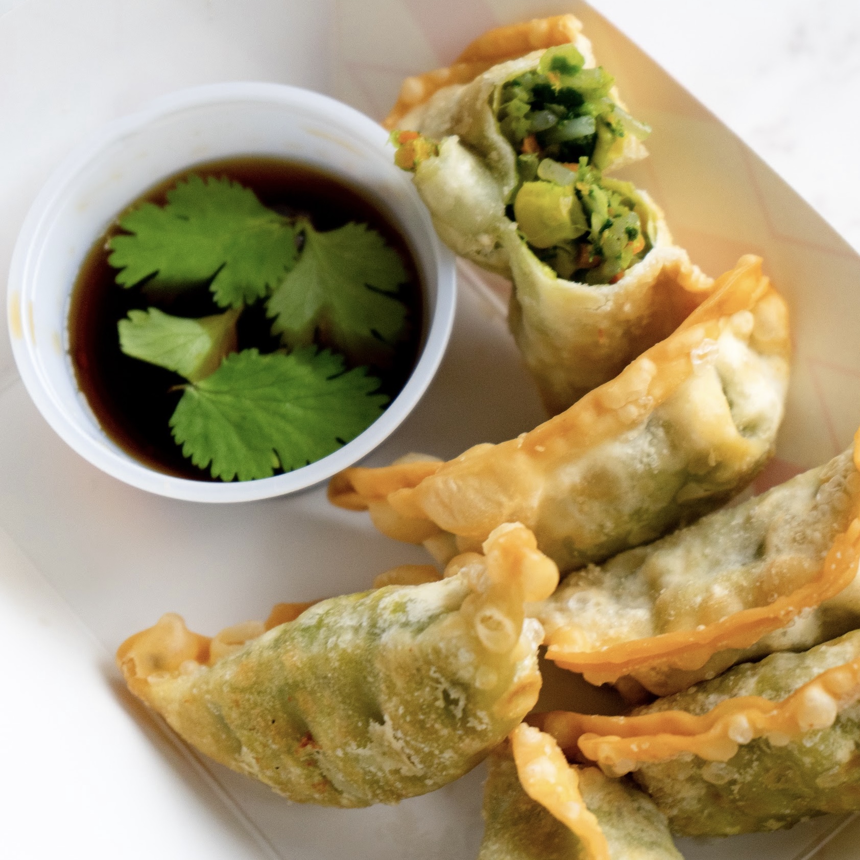 Vegetable Gyoza - Vegan Potstickers (6).