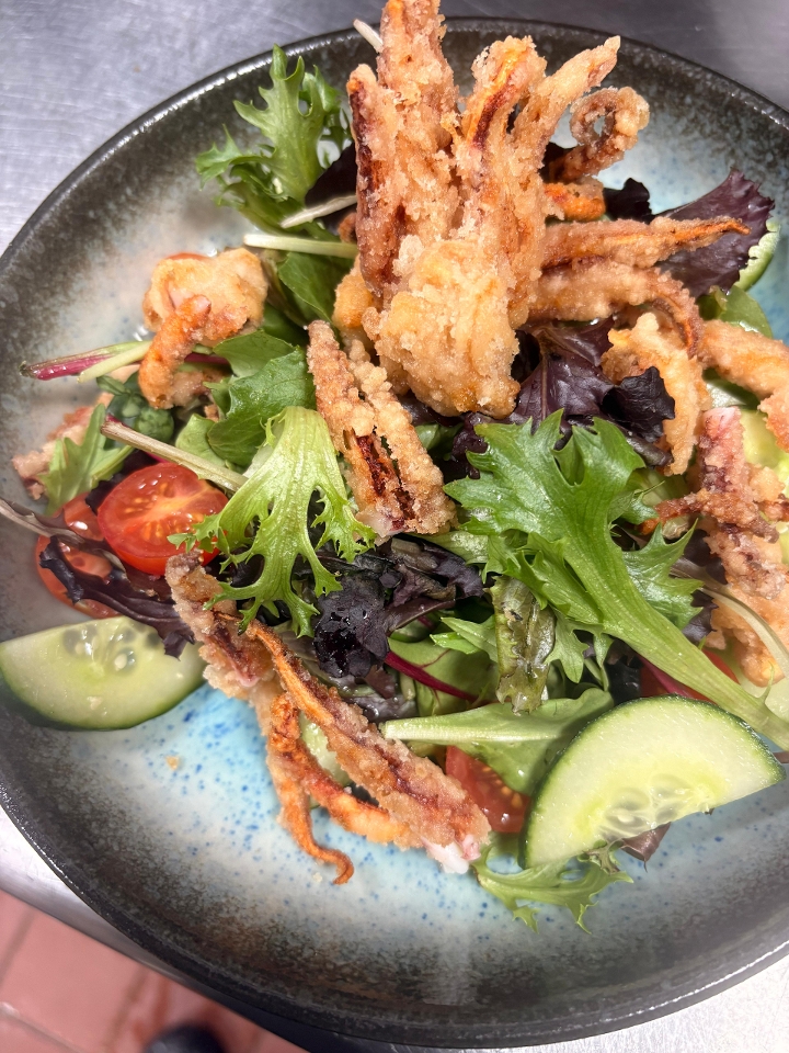 Ikageso Karaage Salad.