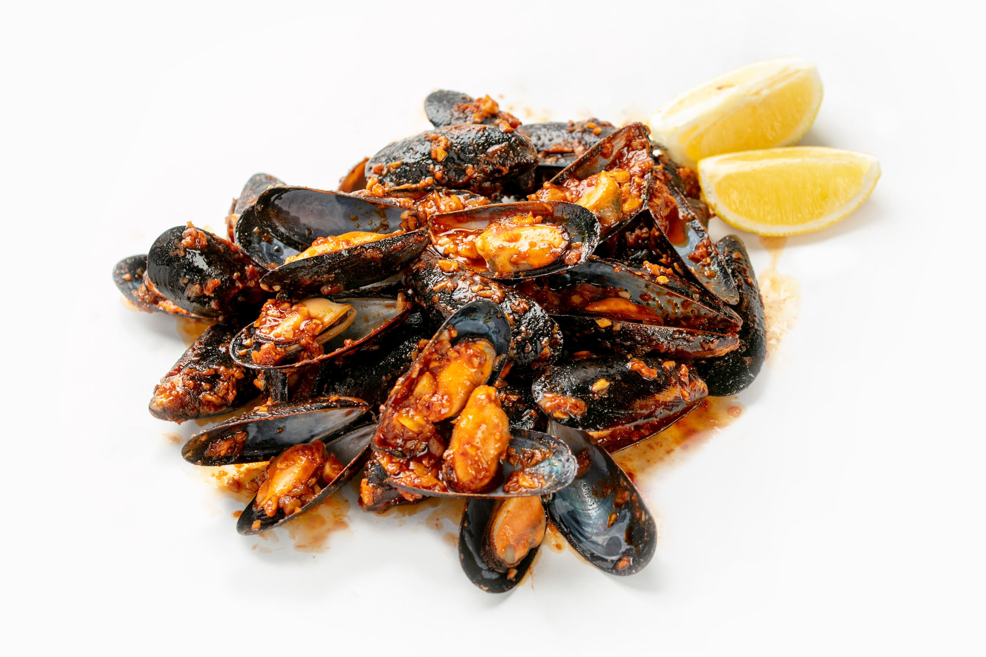 MUSSELS.