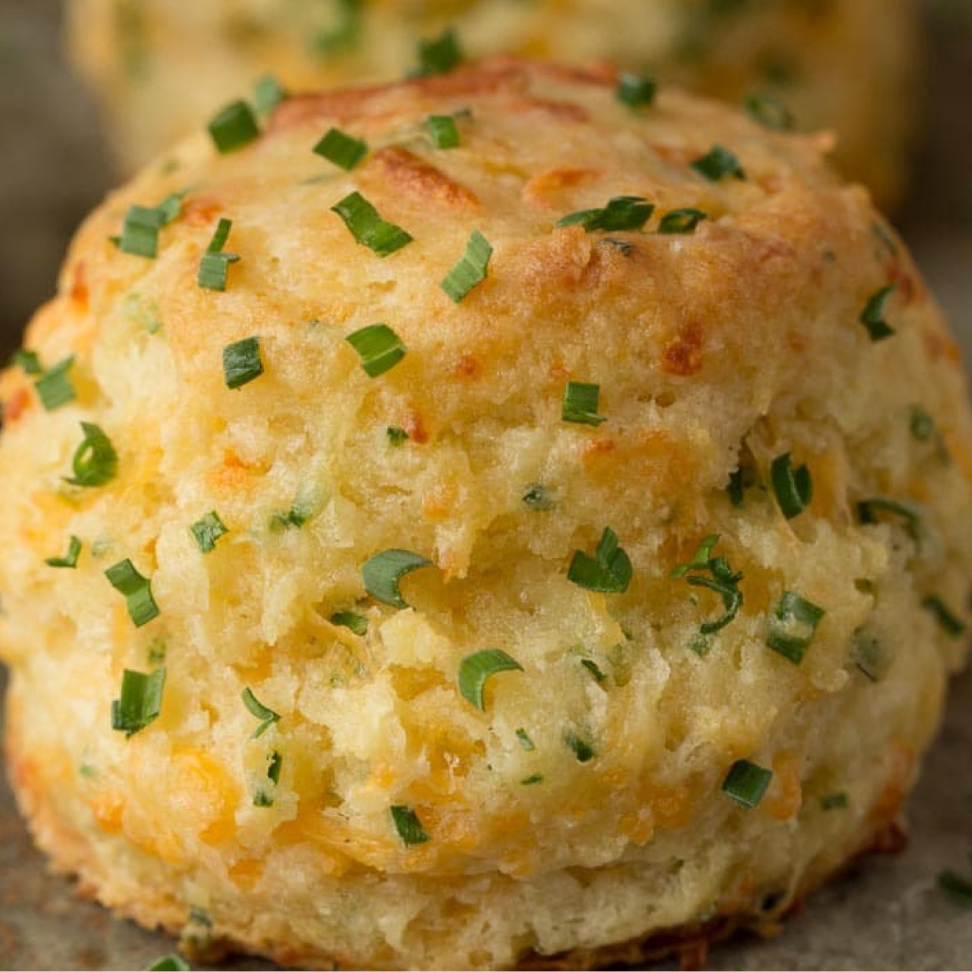 Cheddar Chive Jalapeno Biscuit.