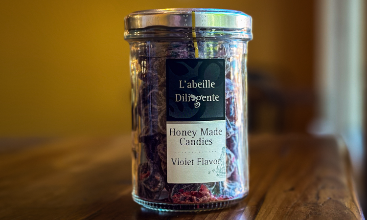 L'abrielle Diligente - Violet.