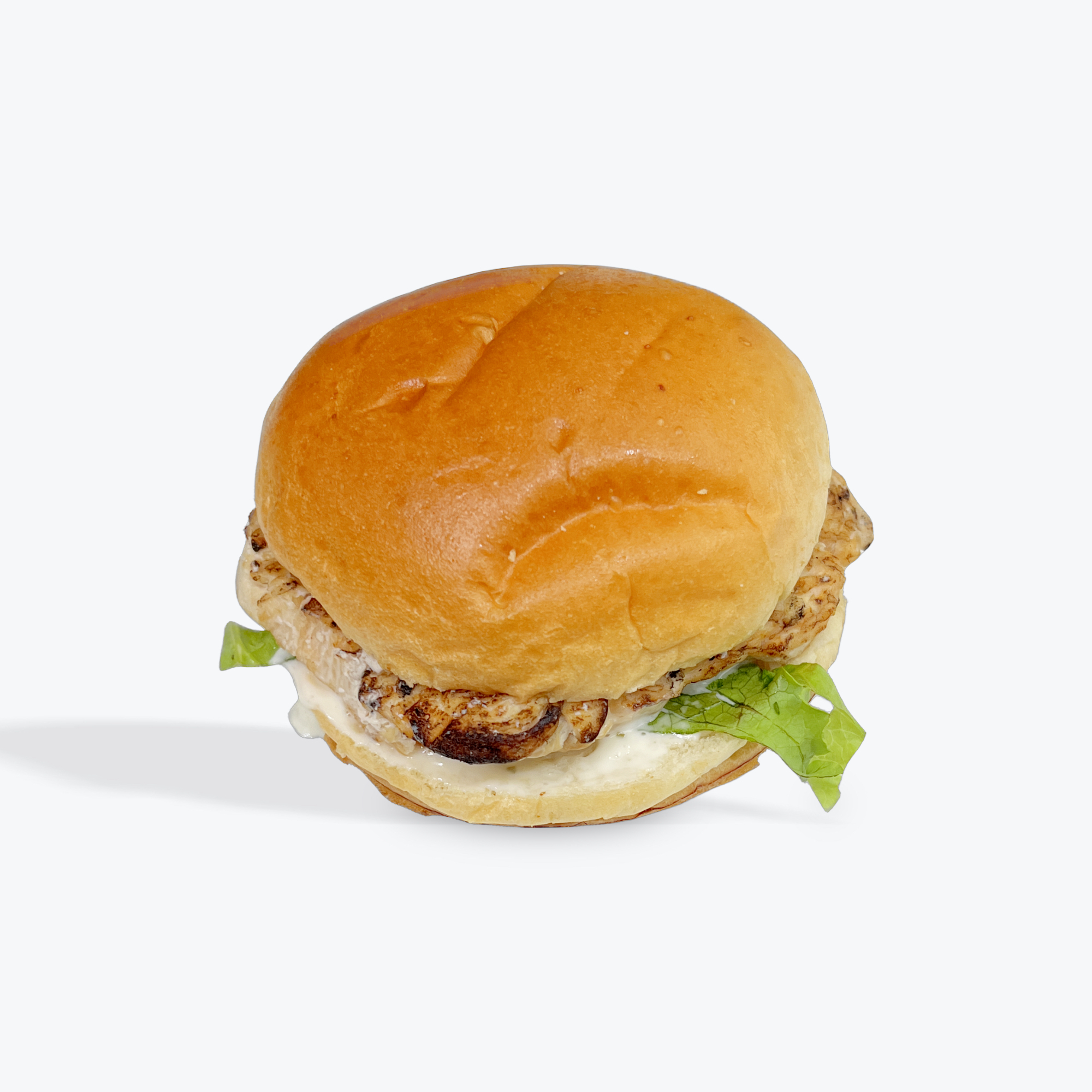 Grilled Chicken Sandwich Only.