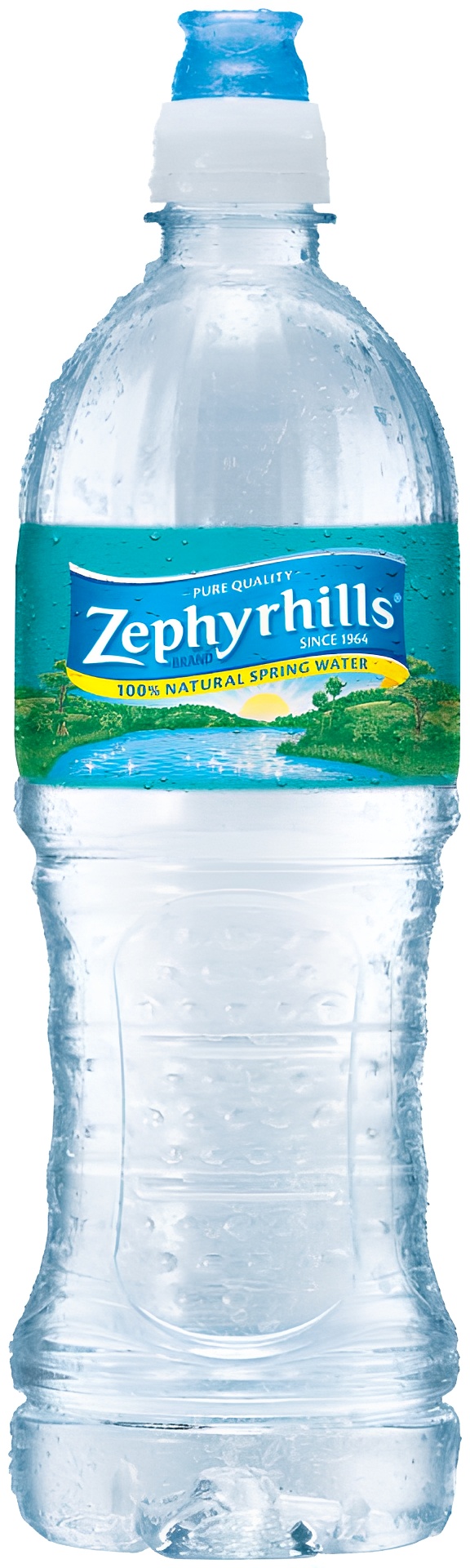 Zephyrhills 100% Natural Spring Water Plastic Bottle, 23.7 Oz.