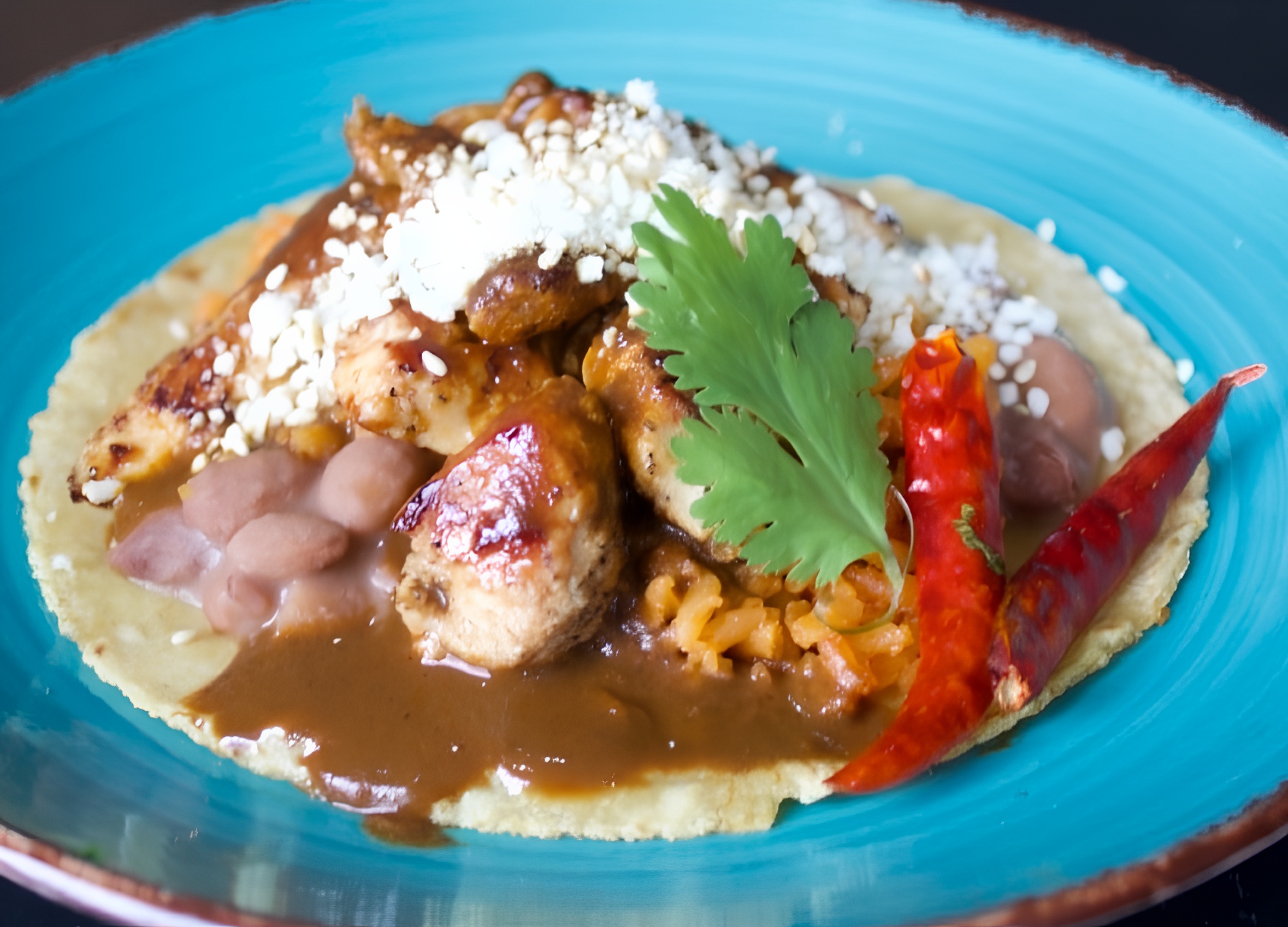 Mole Chicken Taco.