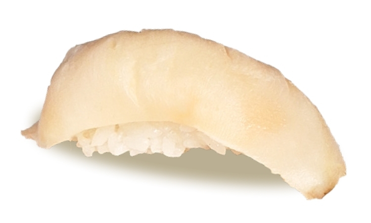 Conch.