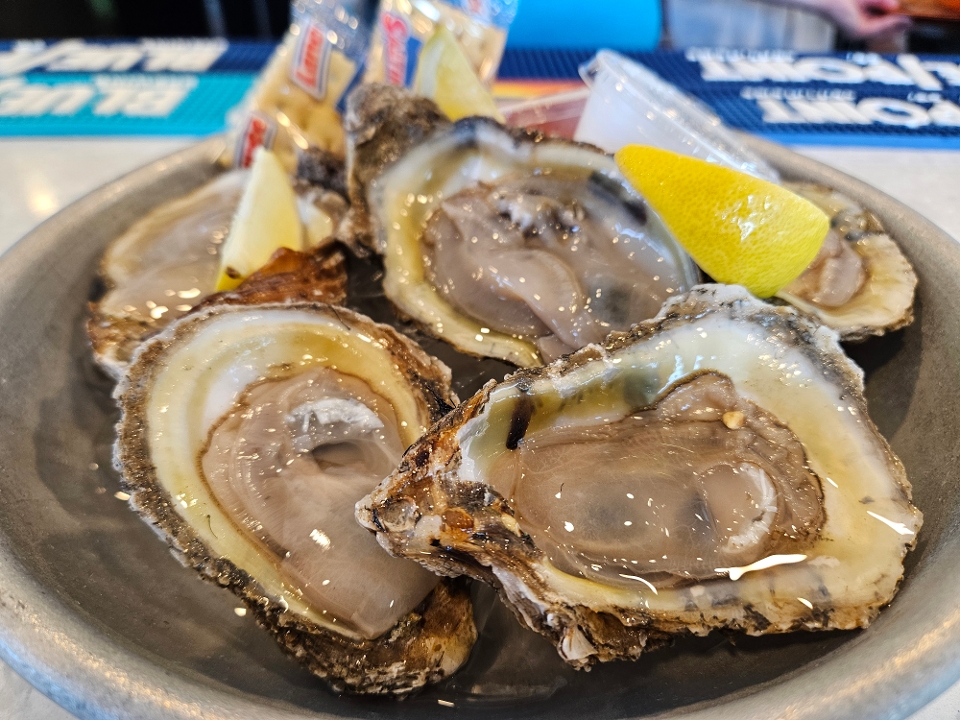 6 Raw Oysters.