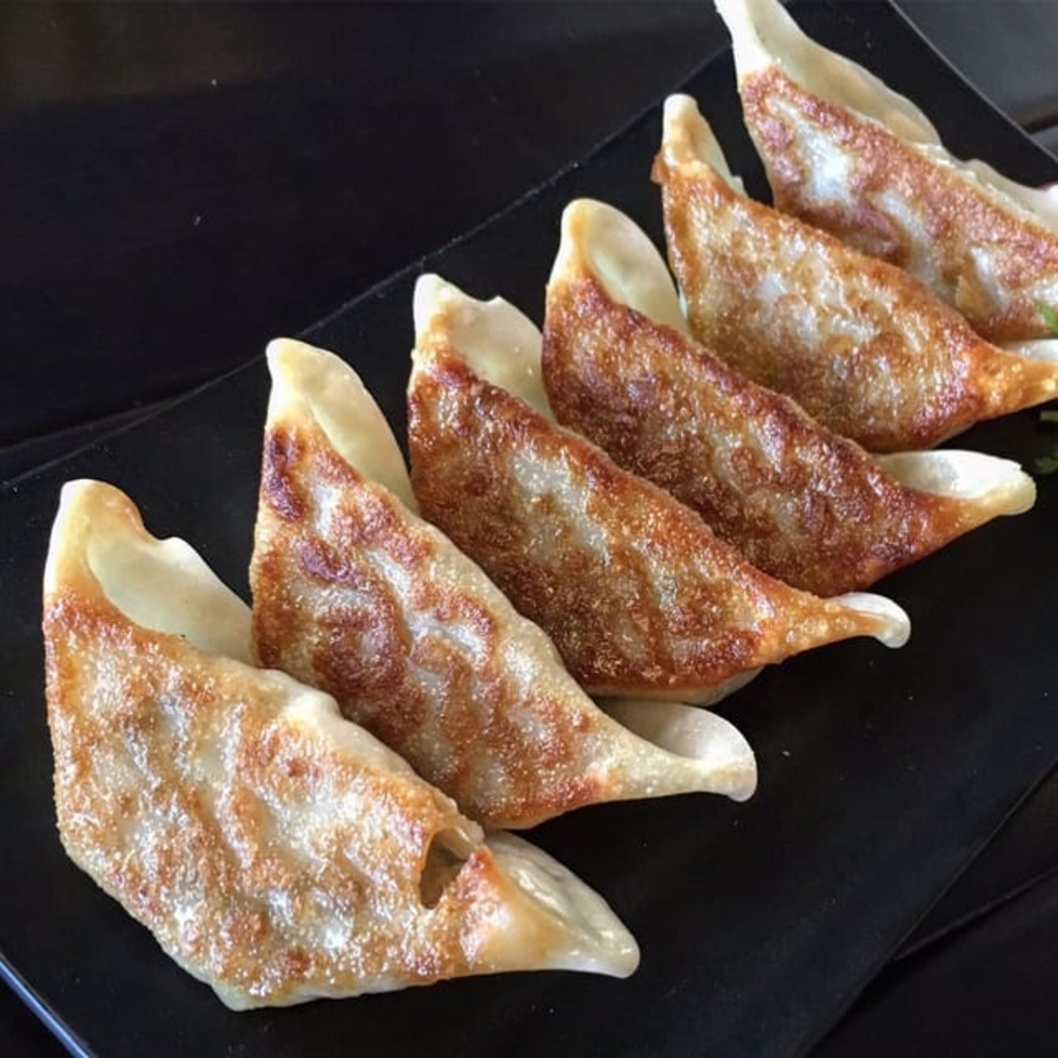REGULAR GYOZA.