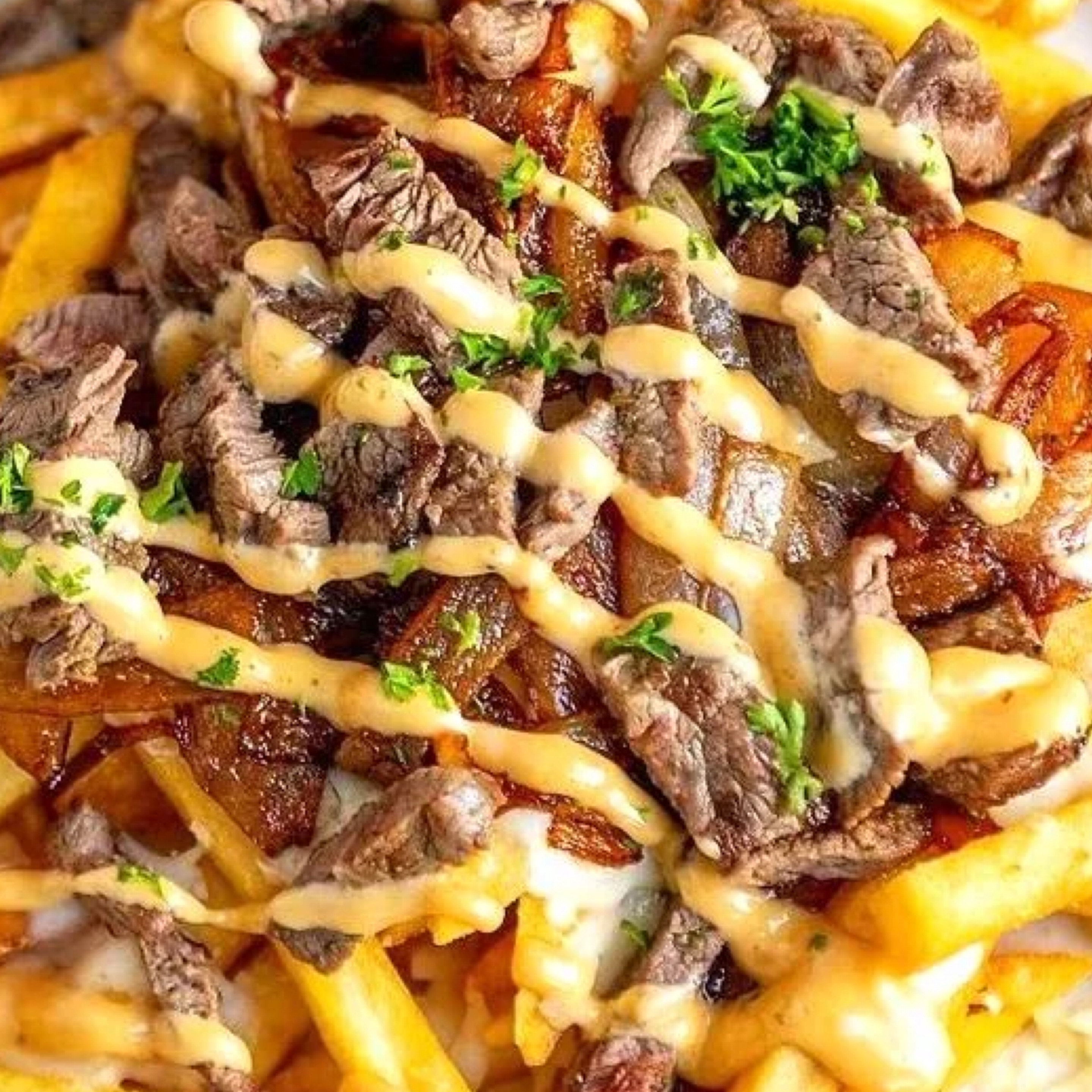 Brisket Fries.