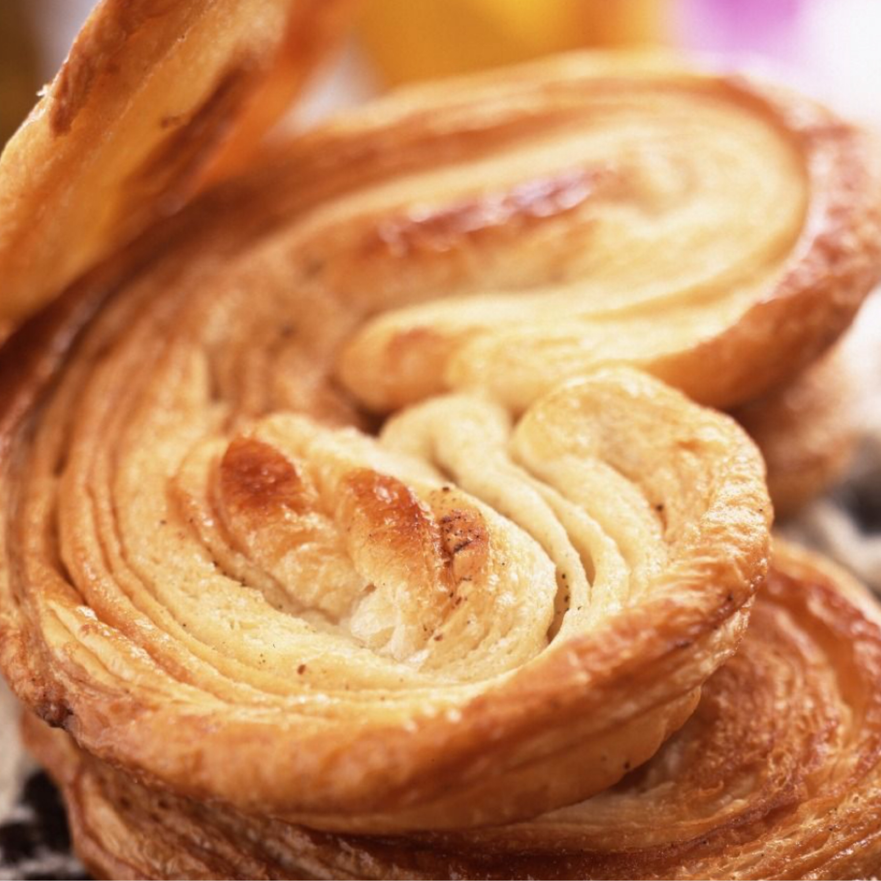 Elephant Ears.