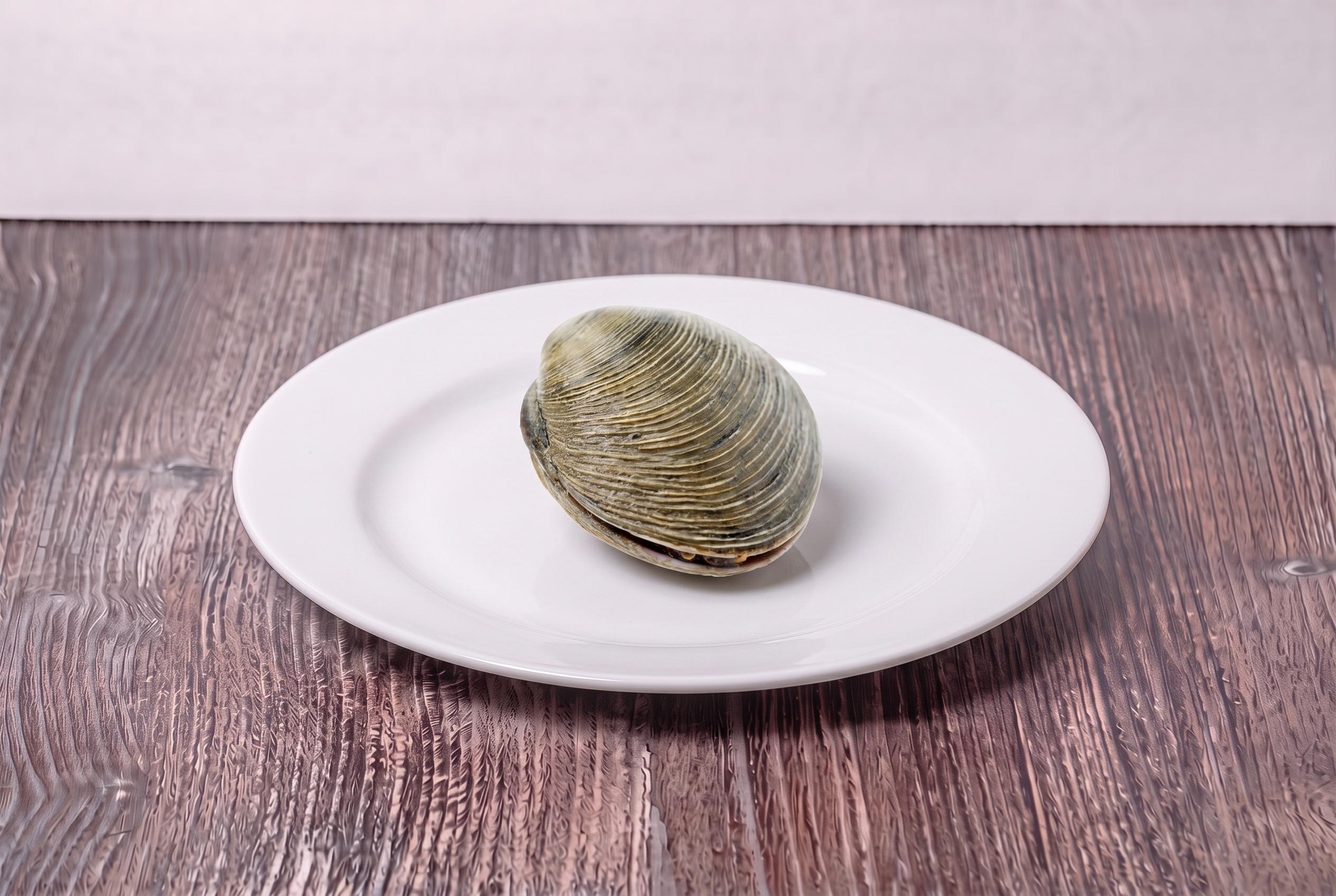 Clam 1 lb.