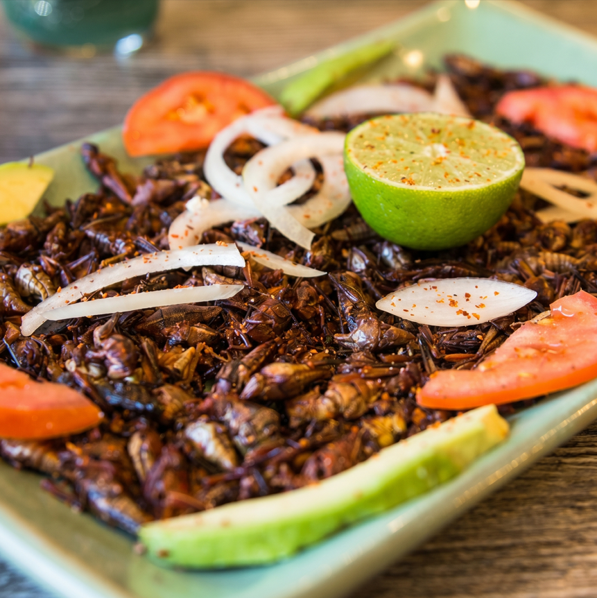 Botana de chapulines.