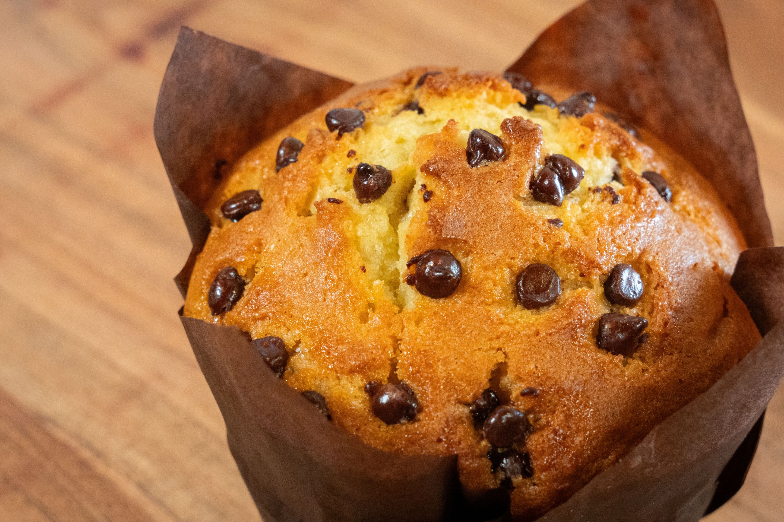 Chocolate Chip Muffin.