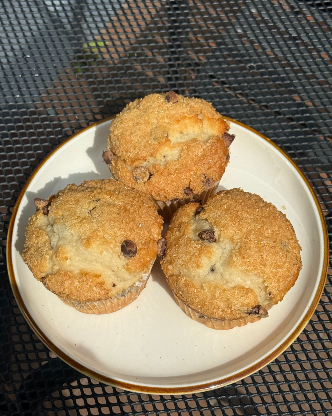 Chocolate Chip Muffin.