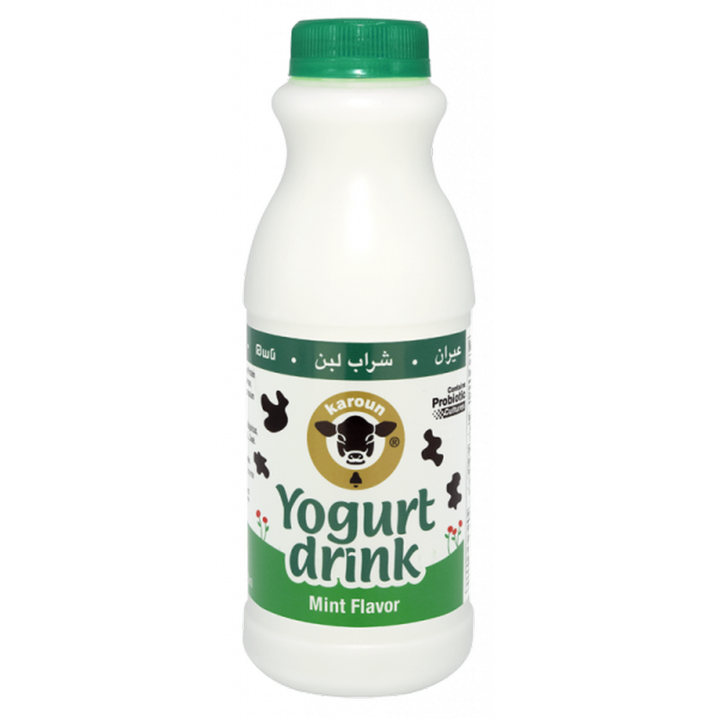 Ayran Yogurt Drink (Mint Flavor).