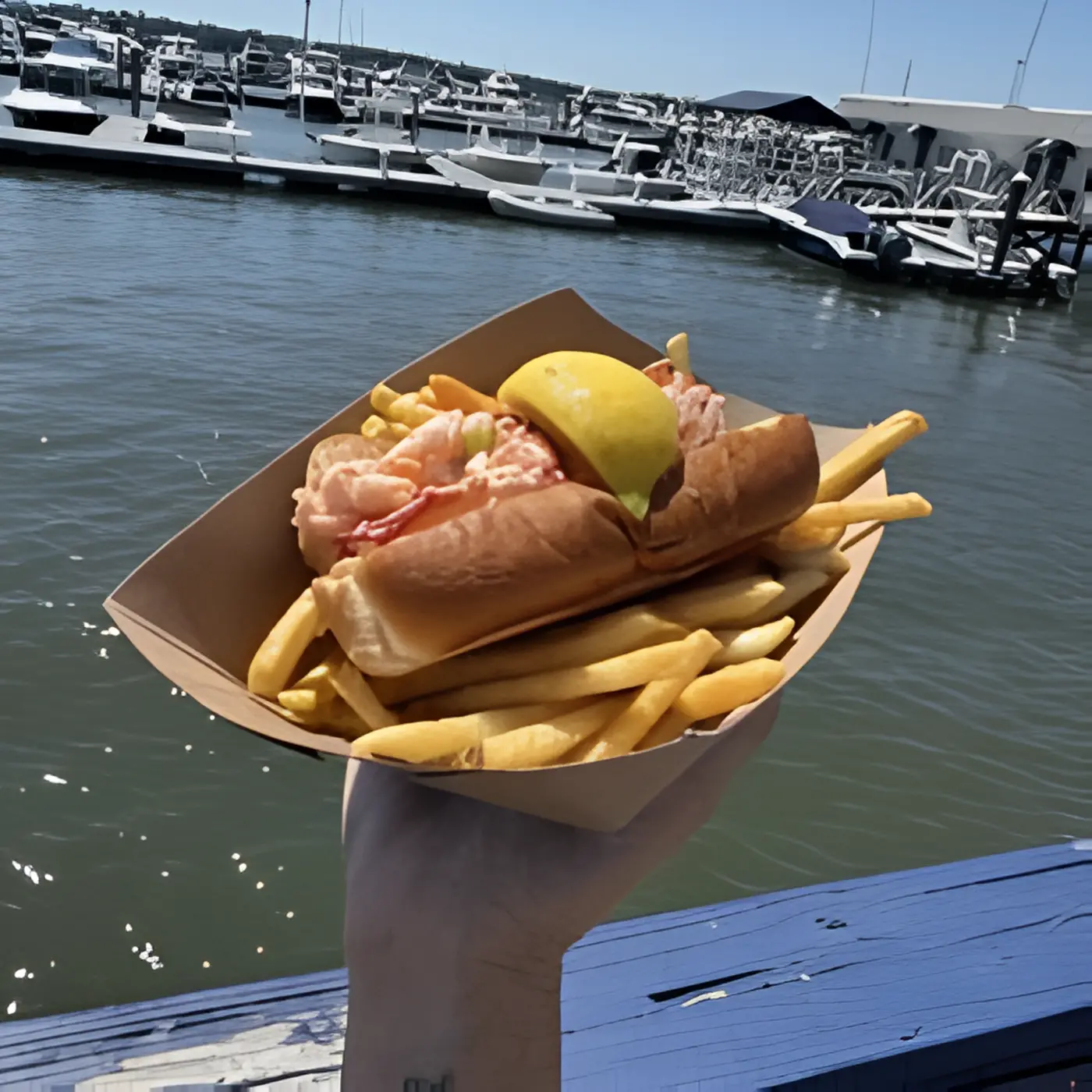 Lobster Roll + Fries.