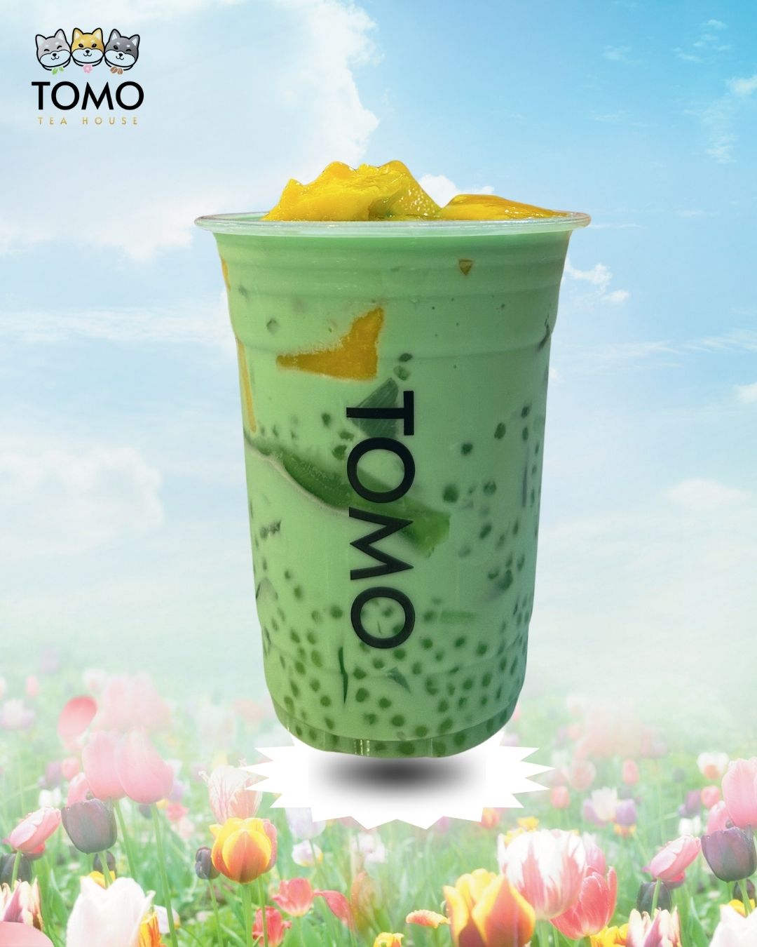 S6 - Pandan Buko Sago.