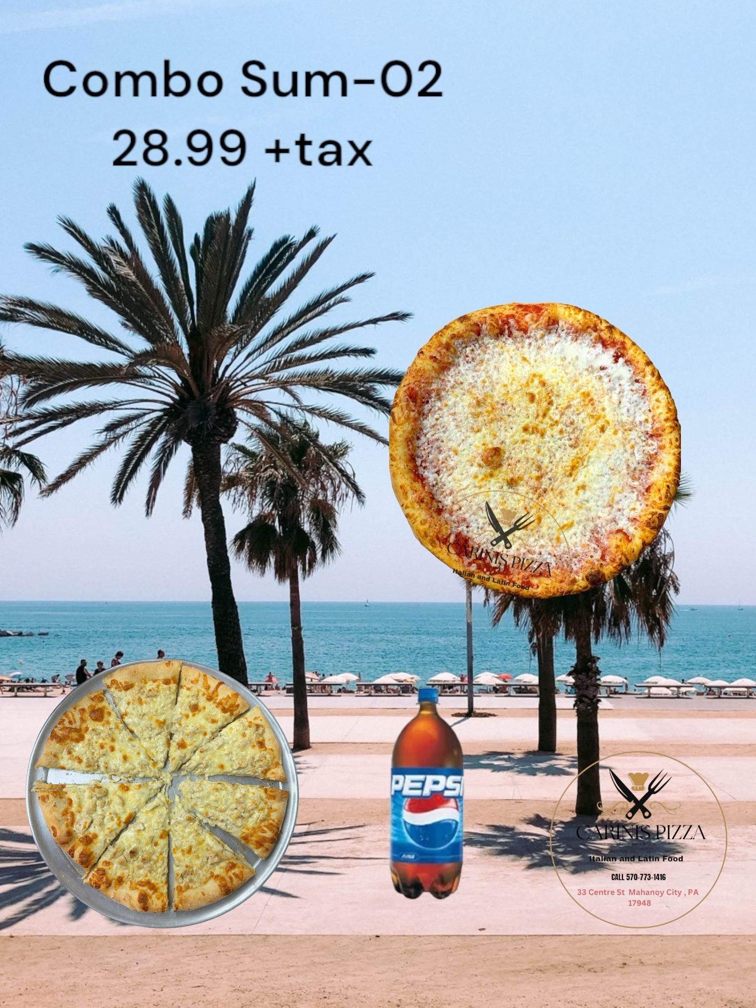 Special (3) 1 Large Plain Pizza and 1 Medium Plain Pizza, 2 Liter Pepsi.