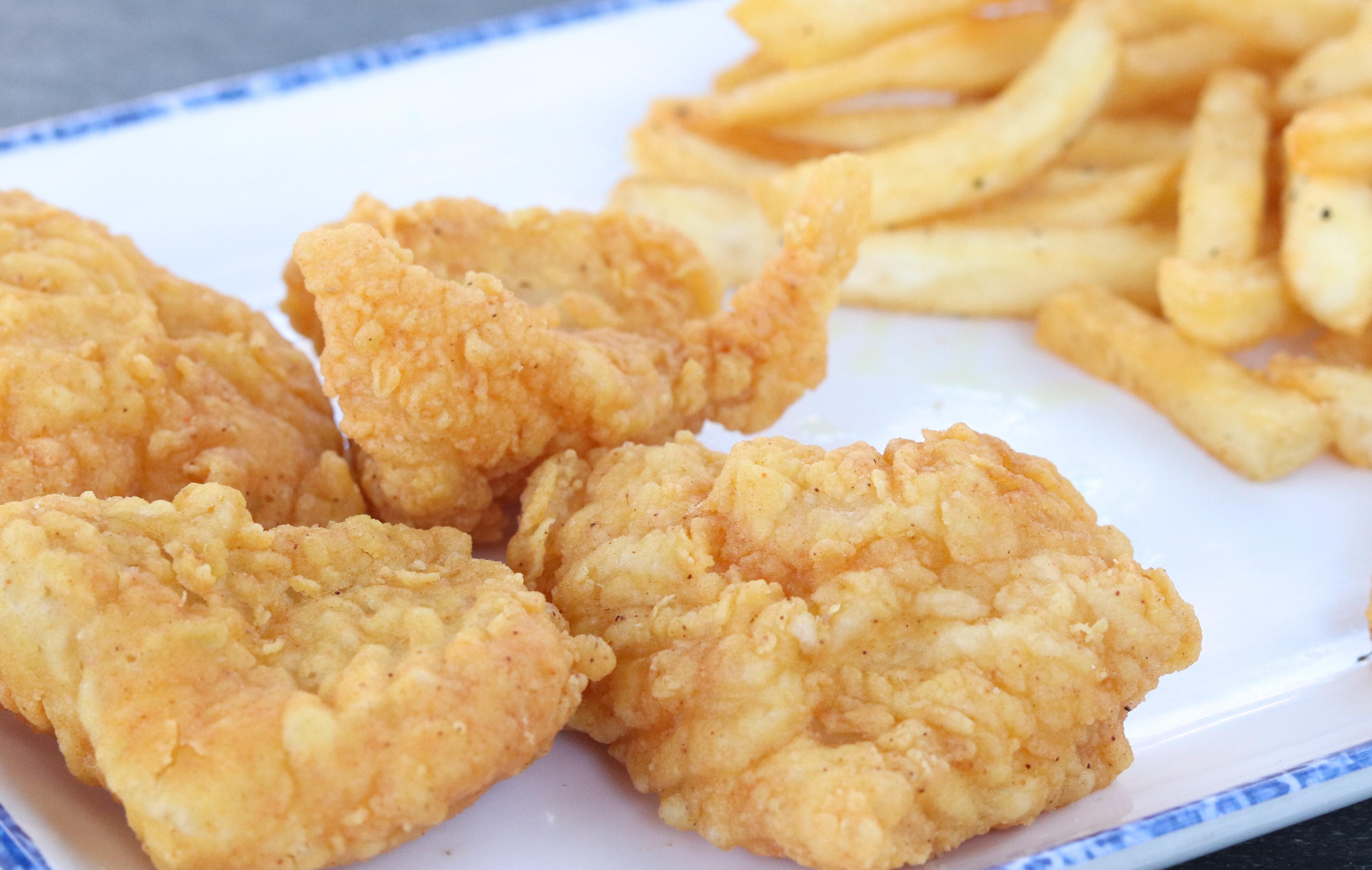 Kids Fried Fish & Fries.