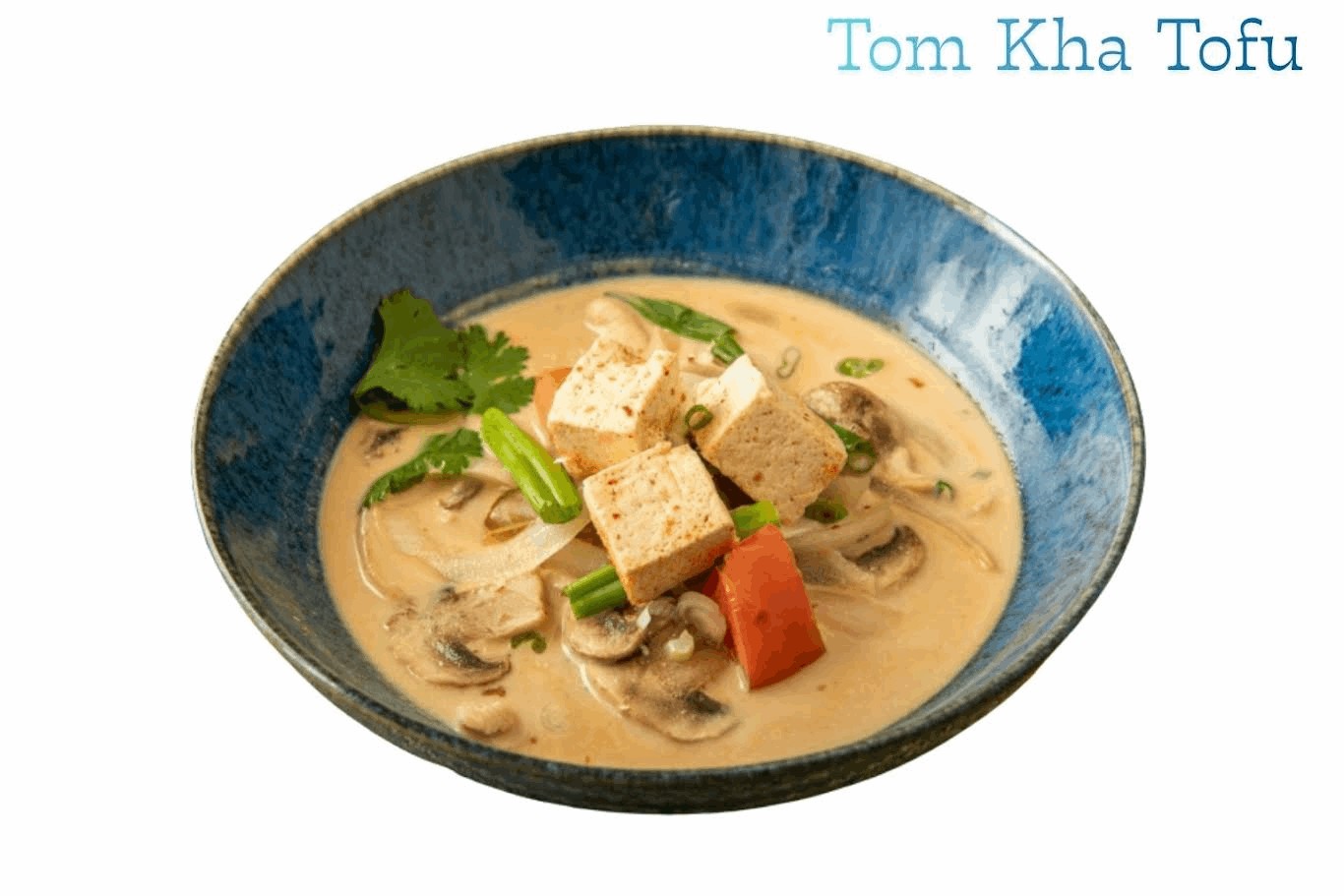 Tom Kha- Tofu.