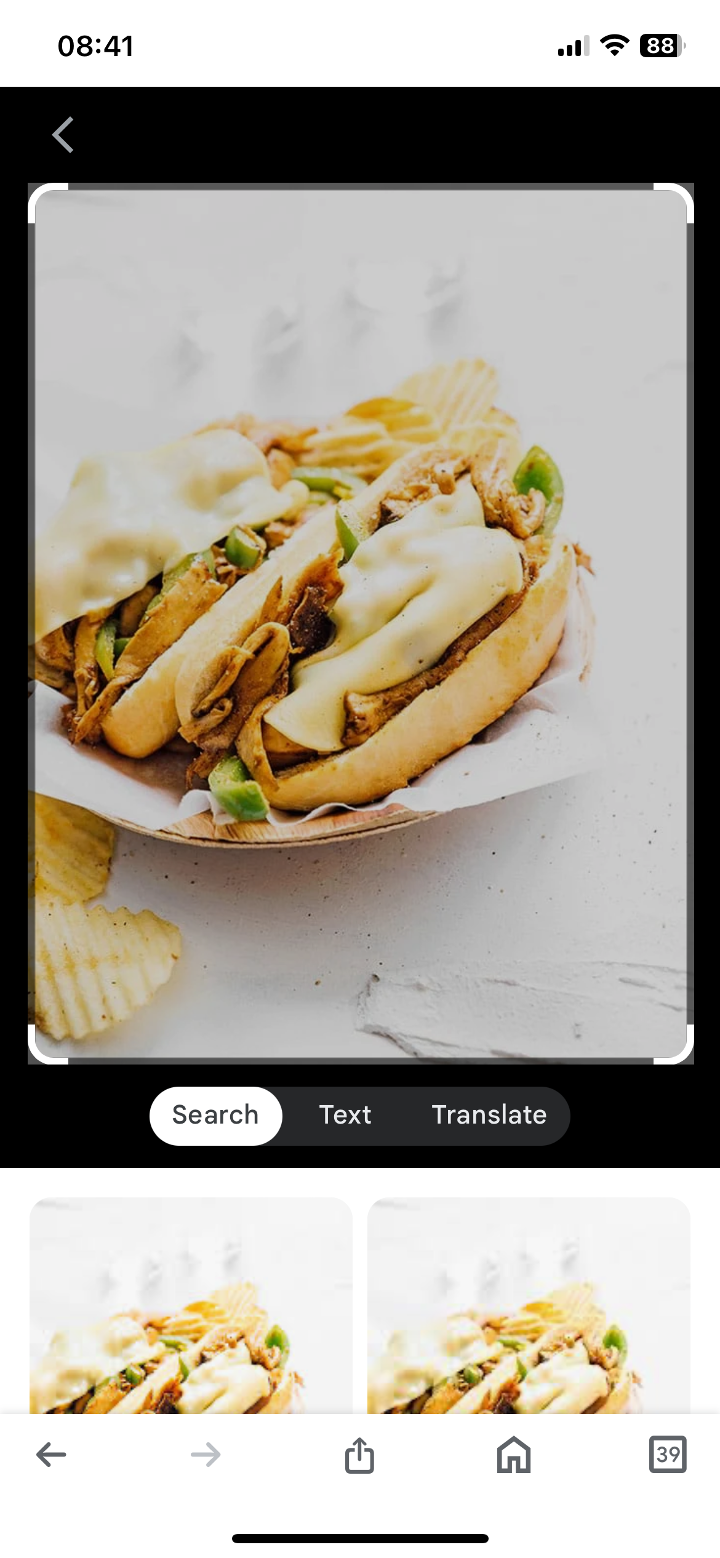 Veggie Jackfruit Tikka Cheesesteak.