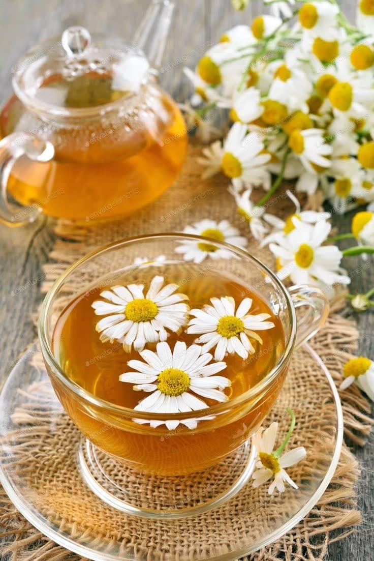 CHAMOMILE.