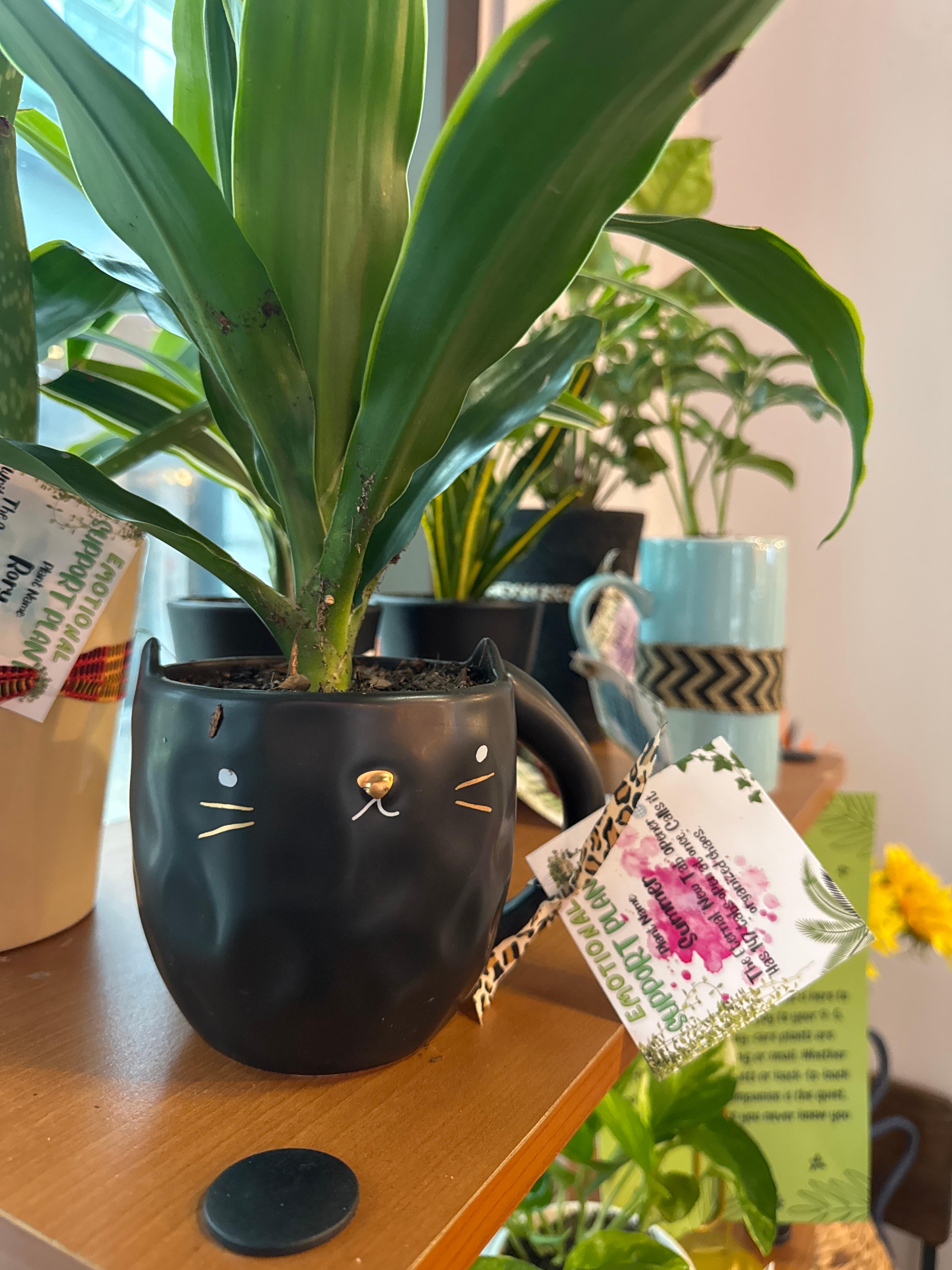 Emotional Support Plant Large.