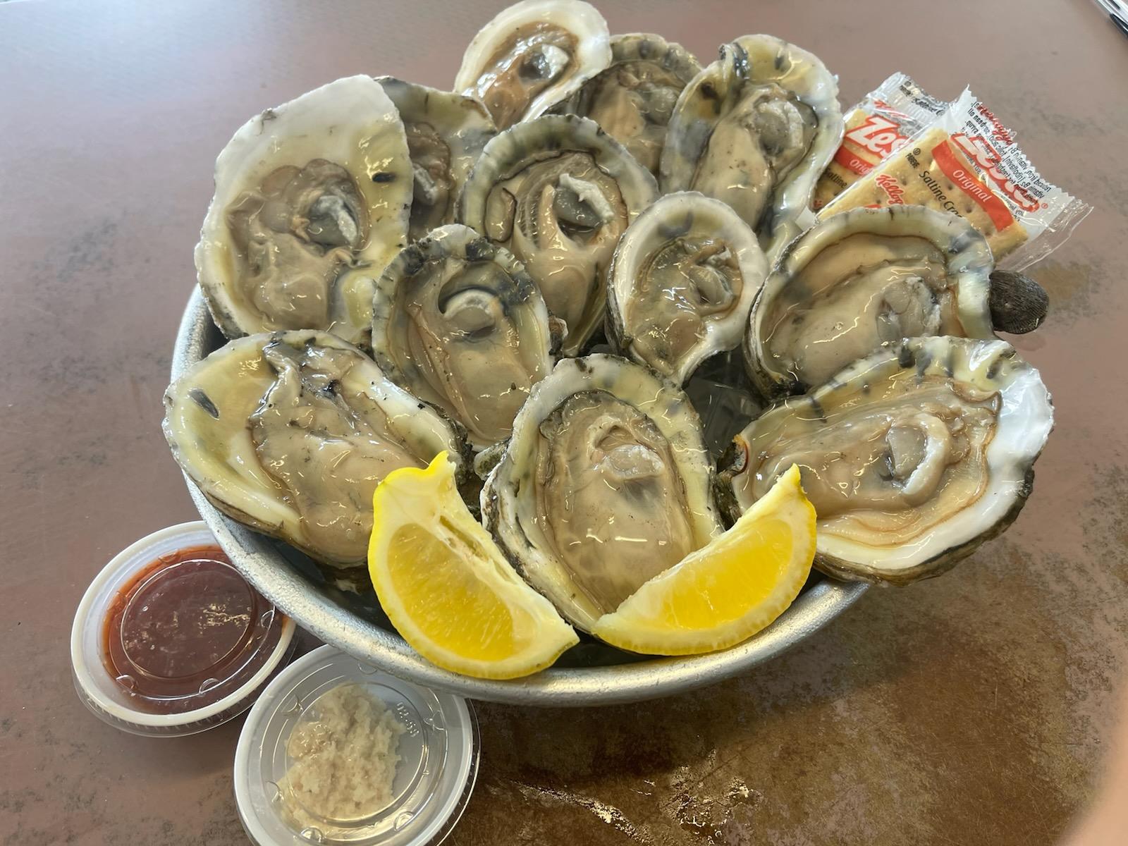 12 Raw Oysters.