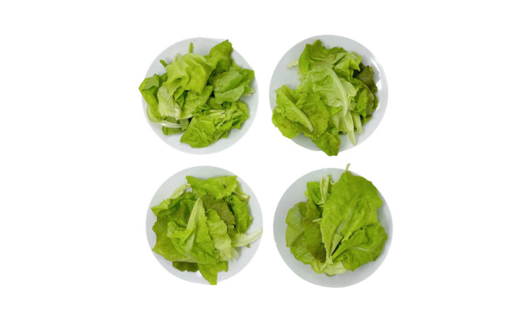 Butterhead Lettuce (1/3 lb).