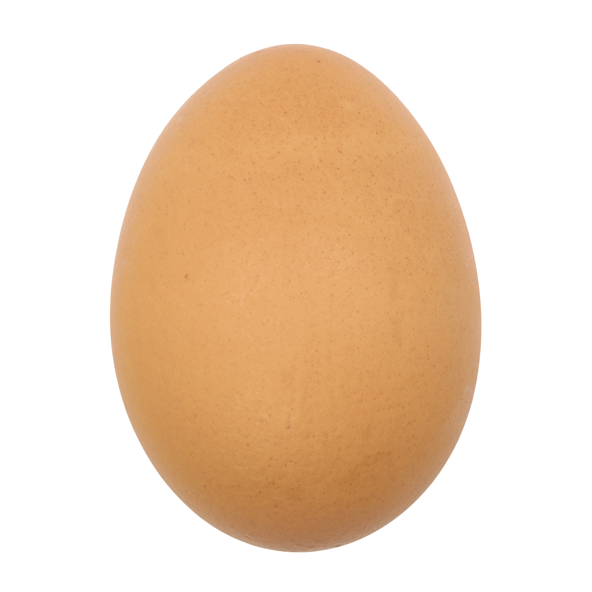 ONE EGG.