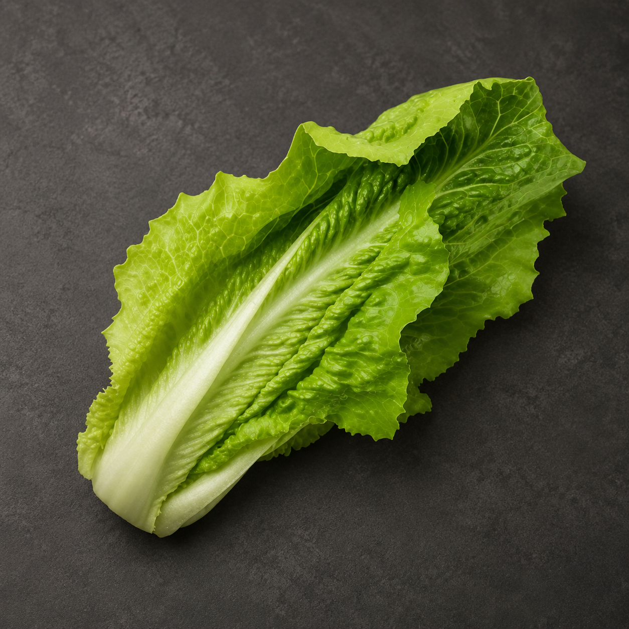 EXTRA LETTUCE.