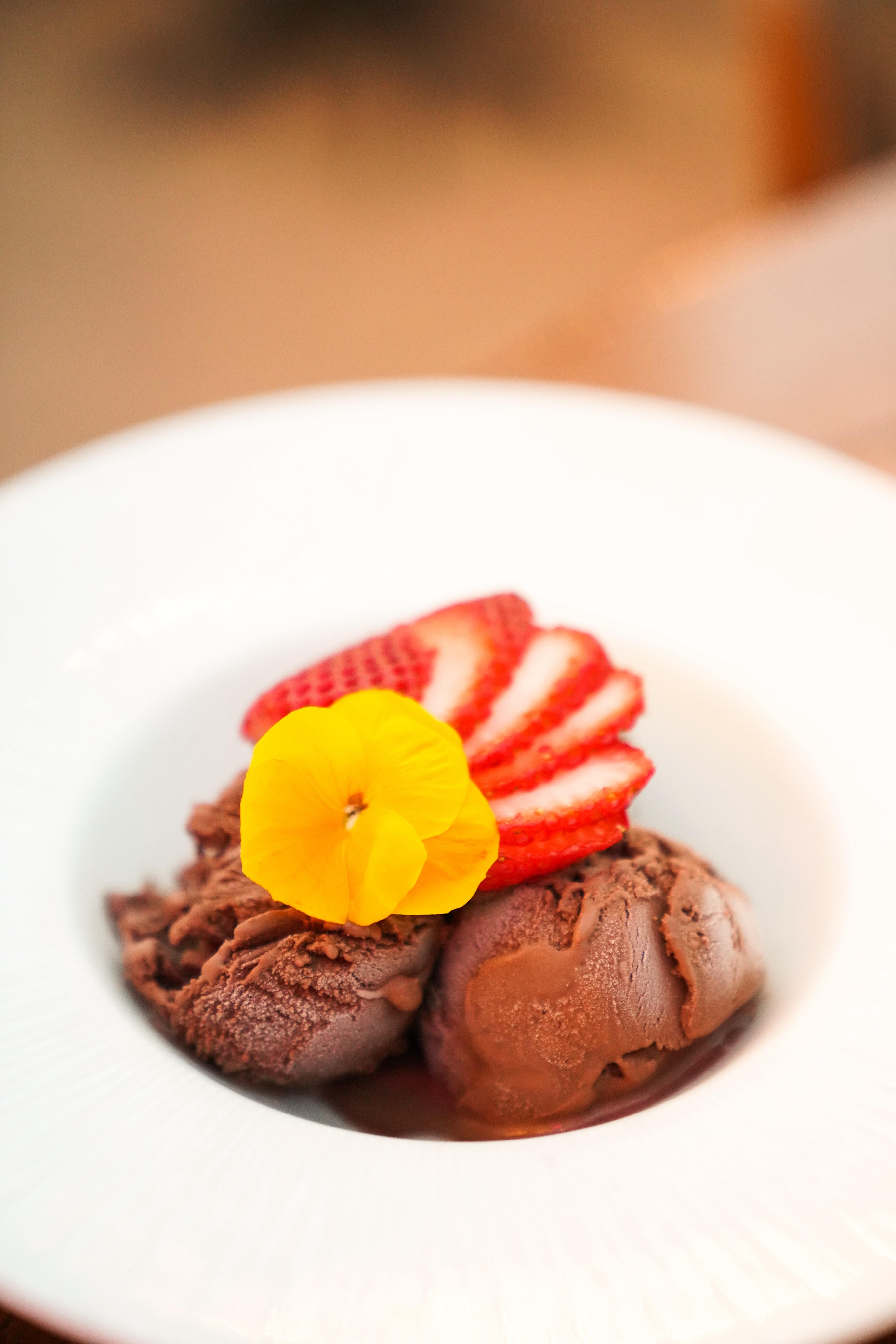 Dark Chocolate Gelato.