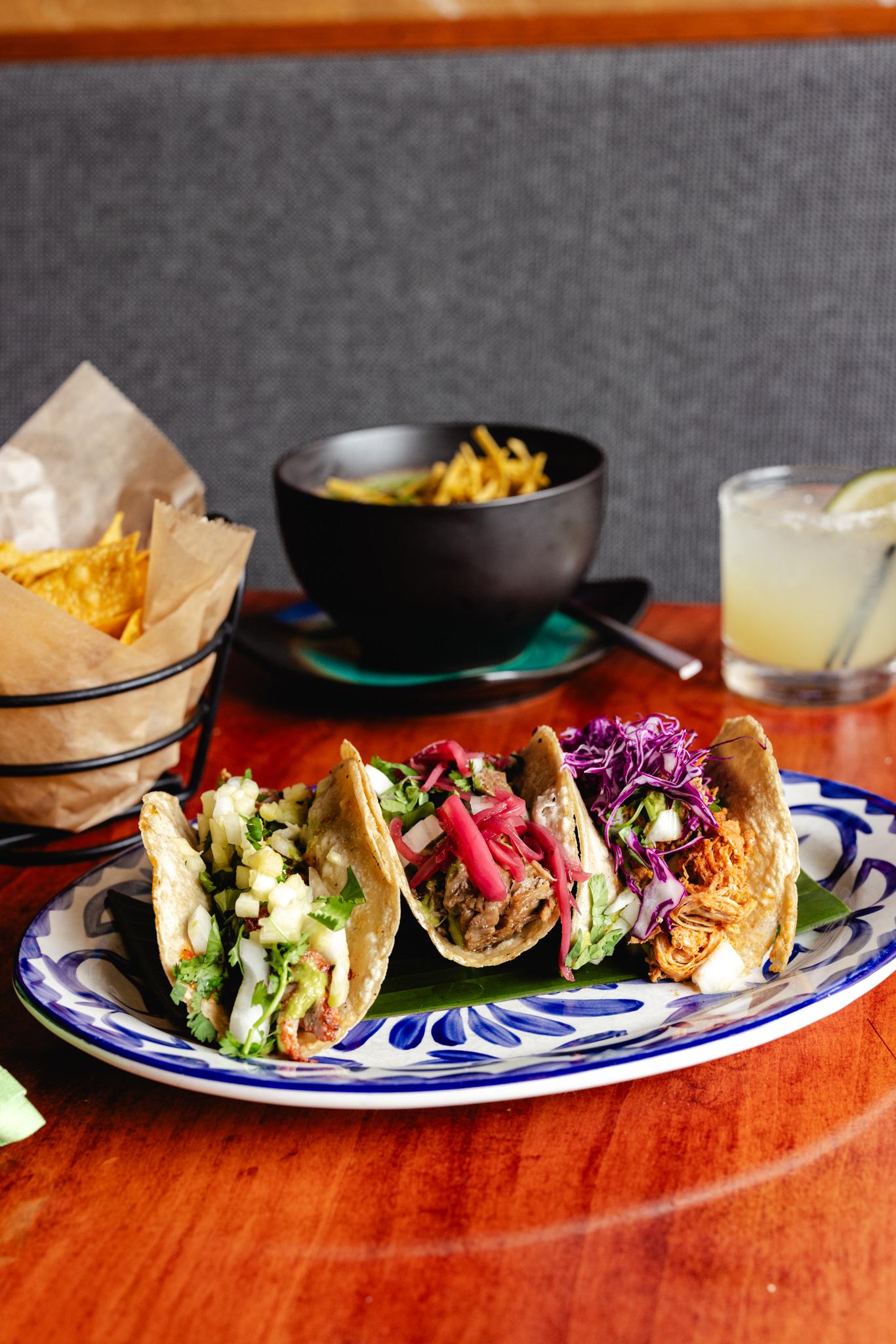 Maya de Pollo Taco.