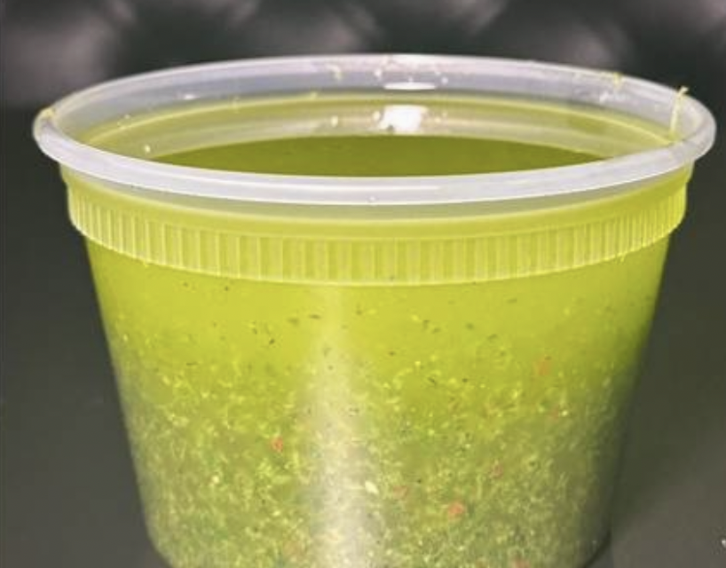 Pesto Oil (16oz).