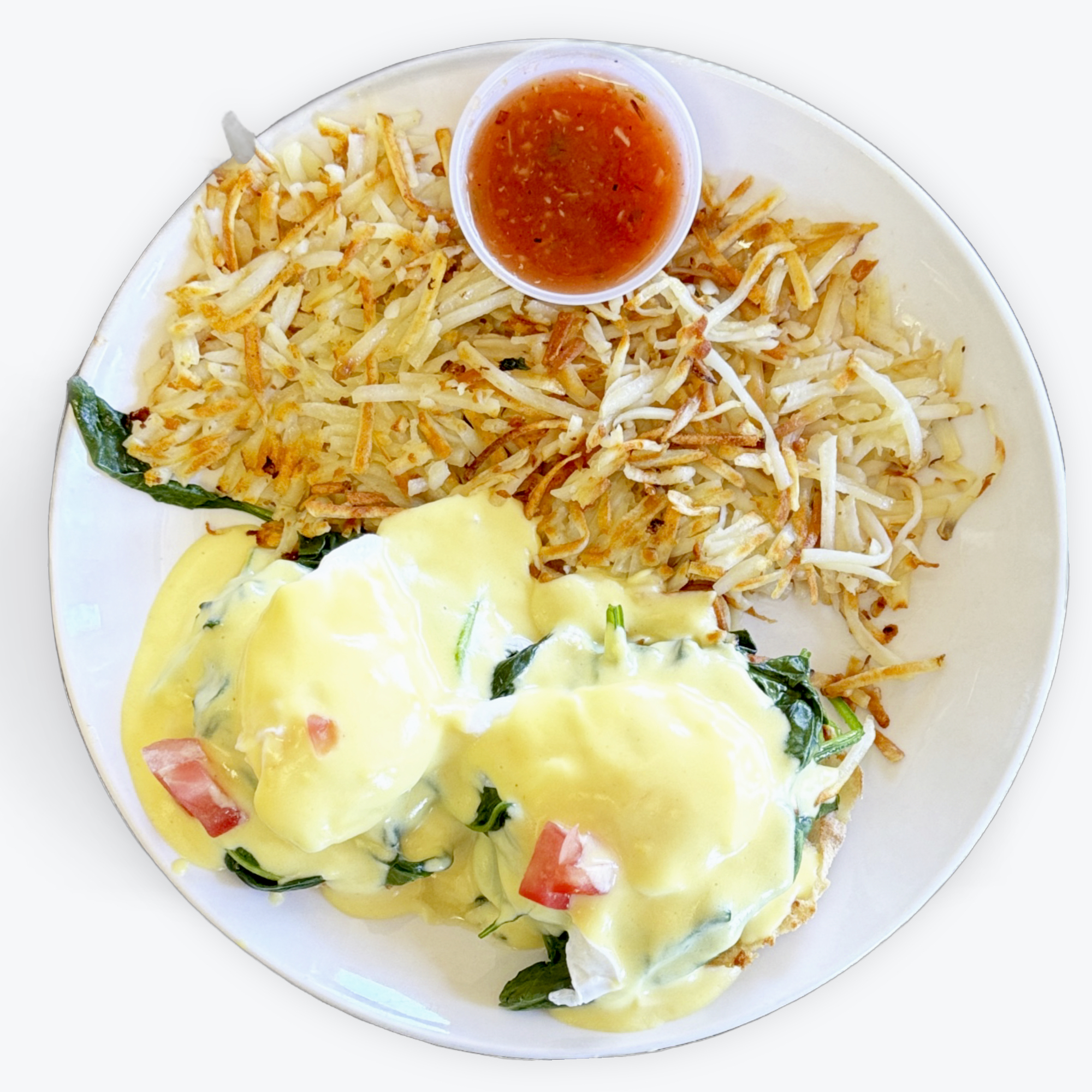 FLORENTINE BENEDICT.
